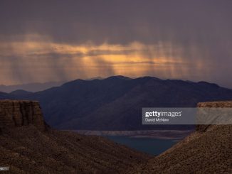 gettyimages-1233738671-2048x2048